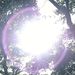 20060715_naganotrip_007
